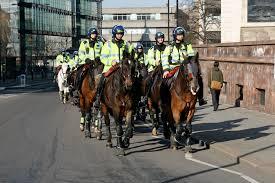 LONDON POLICE HORSES