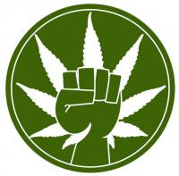 I Support the Legalization of Marijuana